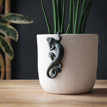 Gecko Pot Hanger, 4 of 5