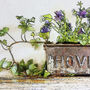 Hovis Tin With Pansy And Ivy Fine Art Print, thumbnail 2 of 4