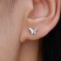 Sterling Silver Small Butterfly Stud Earrings, thumbnail 1 of 11