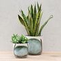 Stone Abstract Planters, thumbnail 3 of 3