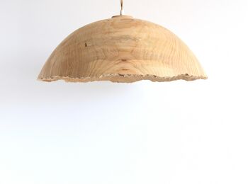 Wood Light, 5 of 7