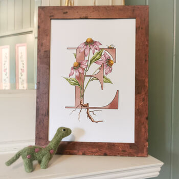 E Is For Echinacea Coloured Initial Print, 2 of 10