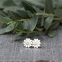 Teeny Daisy Earrings In Solid Silver And 18ct Gold, thumbnail 1 of 6