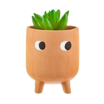 Mini Terracotta Plant Pot With Googly Eyes, 3 of 3