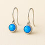 Sterling Silver Blue Opal Drop Earrings, thumbnail 1 of 9