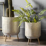 Set Of Two Decorative White And Gold Planters, thumbnail 1 of 2