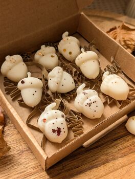 Roasted Chestnut Autumnal Wax Melt Box For Autumn Decor, 2 of 7