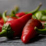 Chilli Plants, 'Super Fresno', thumbnail 2 of 10