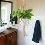 Golden Pothos In 12cm Pot – Easy Care Air Purifying Houseplant, thumbnail 1 of 7