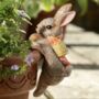 Peter Rabbit Pot Hanger, thumbnail 4 of 5