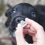 Personalised Pet Paw Print Silver Charm, thumbnail 1 of 9