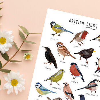 British Birds Poster, 4 of 5