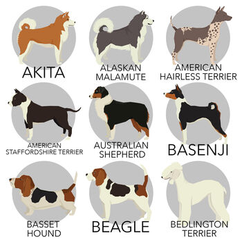 Personalised Dog Print Various Different Breeds, 3 of 8