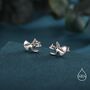 Oxidised Finish Dinosaur Fossil Stud Earrings In Sterling Silver, T Rex Or Triceratops Skull, thumbnail 2 of 12