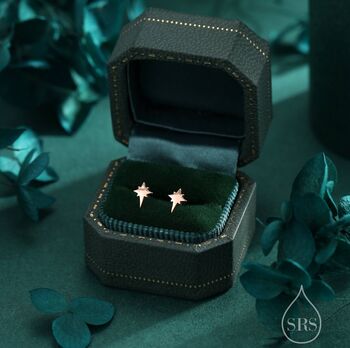 Sterling Silver Barely Visible Starburst Earrings, 2 of 10