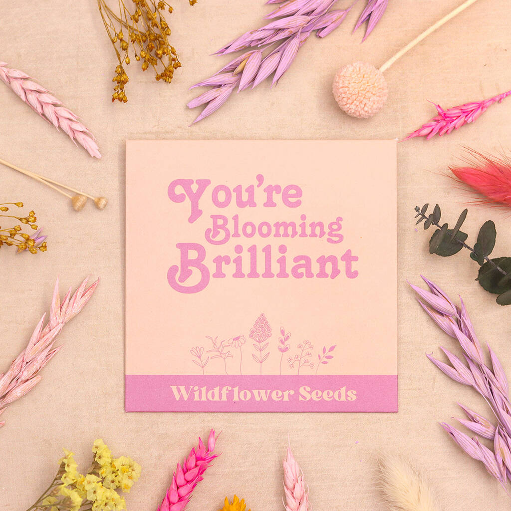 You're Blooming Brilliant Wildflower Seeds, 1 of 3