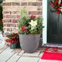 Premium Winter Planter In Antique Slate Pot, thumbnail 1 of 3