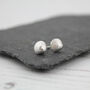 Sterling Silver Cornish Shell Studs, thumbnail 3 of 4