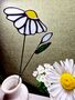 Daisy Stained Glass Everlasting Flowers, thumbnail 1 of 8