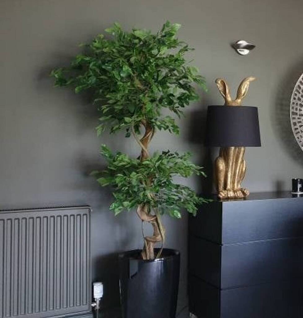 150cm Artificial Japanese Twisted Fruticosa Ficus Tree, 1 of 2