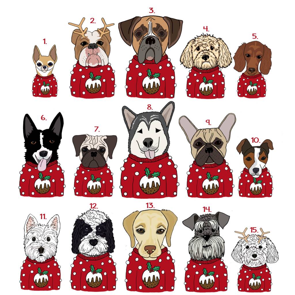Personalised Christmas Pudding Dog Jumper Sweater By Syd&Co