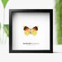 Humboldt's Perisama Handcrafted Frame, thumbnail 1 of 3