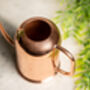 Polished Copper Watering Can – Two Liter, thumbnail 3 of 4