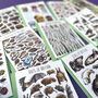 Wildlife Of Britain Greeting Cards Pack Volume Four, thumbnail 10 of 12