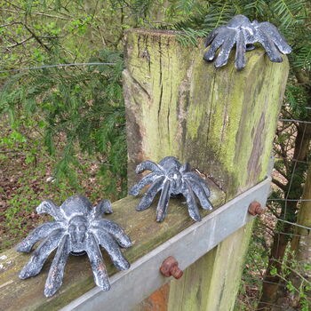 Set Of Three Cast Iron Tarantulas, 5 of 7
