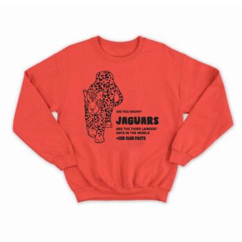 Children's And Adults Jaguar Fact Sweatshirt Or Tee, 2 of 2