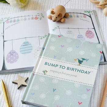 Bump To Birthday, A Pregnancy And First Year Journal, 12 of 12