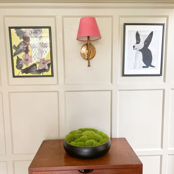 Preserved Moss In Ceramic Sugar Bowl For Table Centrepiece, 5 of 6