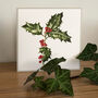 Seasonal Winter Berries Botanical Art Cards Set Of Four, thumbnail 4 of 5