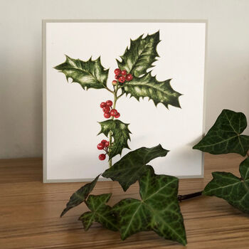 Seasonal Winter Berries Botanical Art Cards Set Of Four, 4 of 5