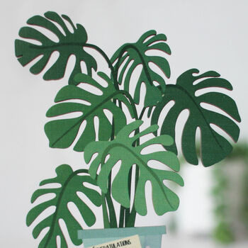 Personalised Wooden Card, Monstera Plant, 4 of 5
