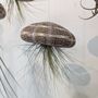 Jellyfish Floating Airplant Gift For Plant Lover, thumbnail 8 of 8