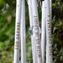 In Memory Personalised Christmas Robin Wind Chime, thumbnail 2 of 3