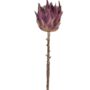 Purple Protea Dried Flowers, thumbnail 4 of 5