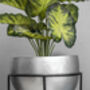 Stylish Silver Plant Pot With Metal Stand 'Mira', thumbnail 2 of 2