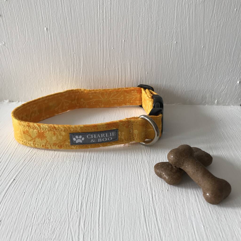 Orange Or Yellow Dog Collar For Girl Or Boy Dogs By Charlie and Boo