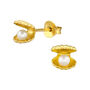 Gold Plated Oyster Shell Earrings In A Gift Tin, thumbnail 2 of 9