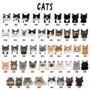 Petsonalised Dog Lover Pet Illustration Sweatshirt, thumbnail 12 of 12