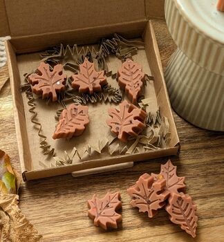 Twilight Woods Autumnal Wax Melts With Woody Scent, 4 of 7
