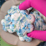 Blue Magnolias Luxury Biscuit's Gift Box, Eight Biscuits, thumbnail 1 of 12