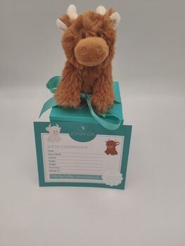 Personalised Highland Brown Cow Soft Toy, Gift Boxed, 11 of 12