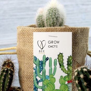 Cactus Jute Bag Grow Set, 7 of 9