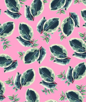 Rubber Plant Pink Gift Wrap X Two Sheets, 3 of 3
