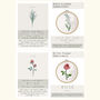 Personalised Birth Flower Embroidery Kit Gift Box Set, thumbnail 8 of 12