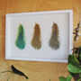 Three Feathers Silkscreen Print, thumbnail 1 of 10