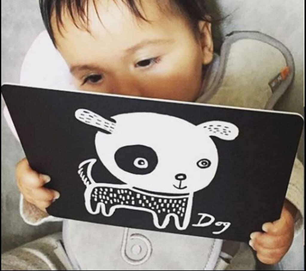 Image of Art Cards For Baby Pets Collection